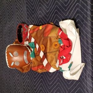 Merry Marauder Costume Youth Medium, Complete Set